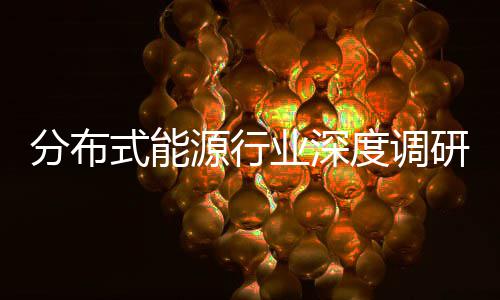 技术式能突破策驱分布发展度调动下的多源行业深研与政元化