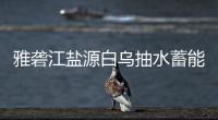 雅砻江盐源白乌抽水蓄能电站中标结果 